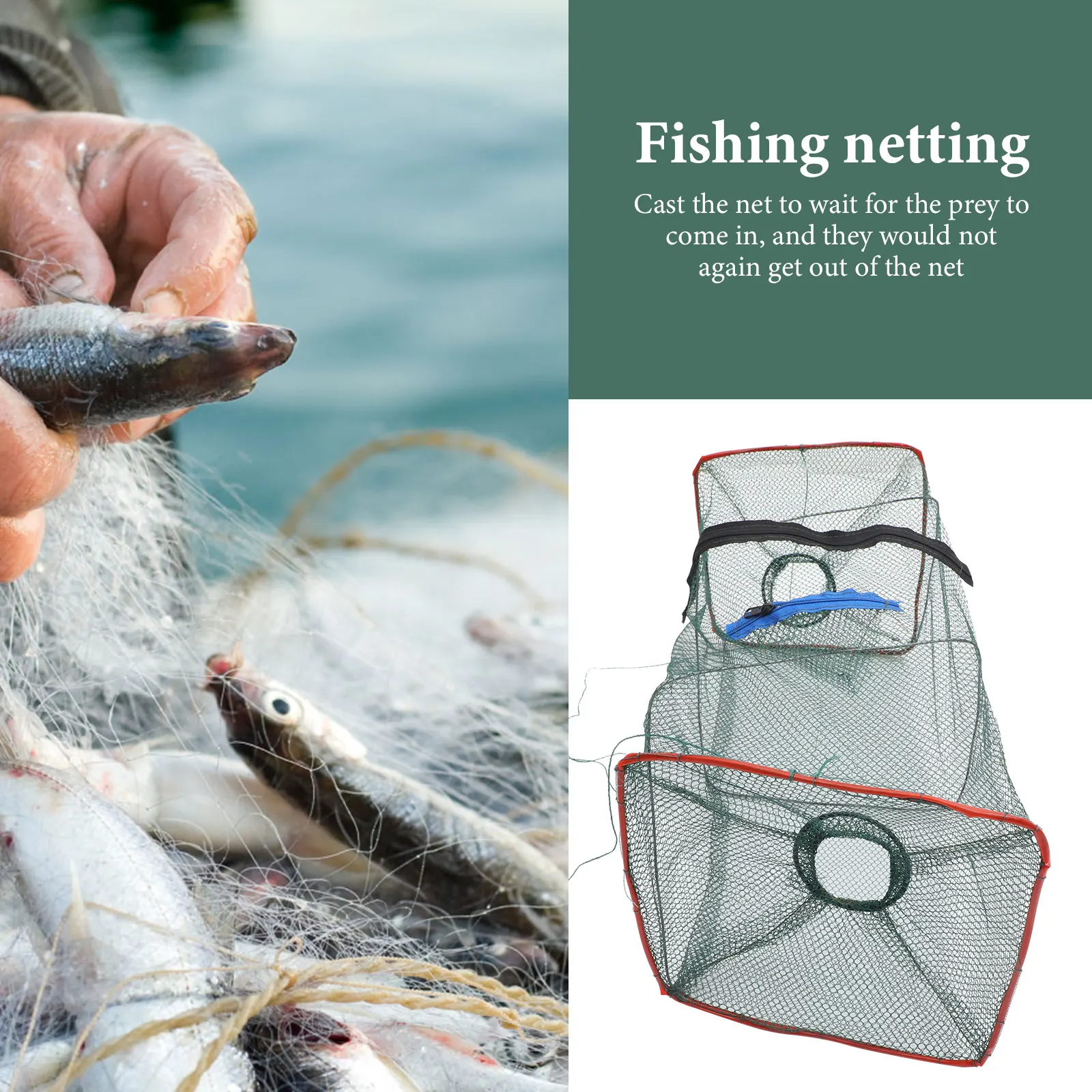 

3 Pcs High-class Fishing Net Foldable Traps Crawl Compact Minnow Collapsible Nylon Collapible
