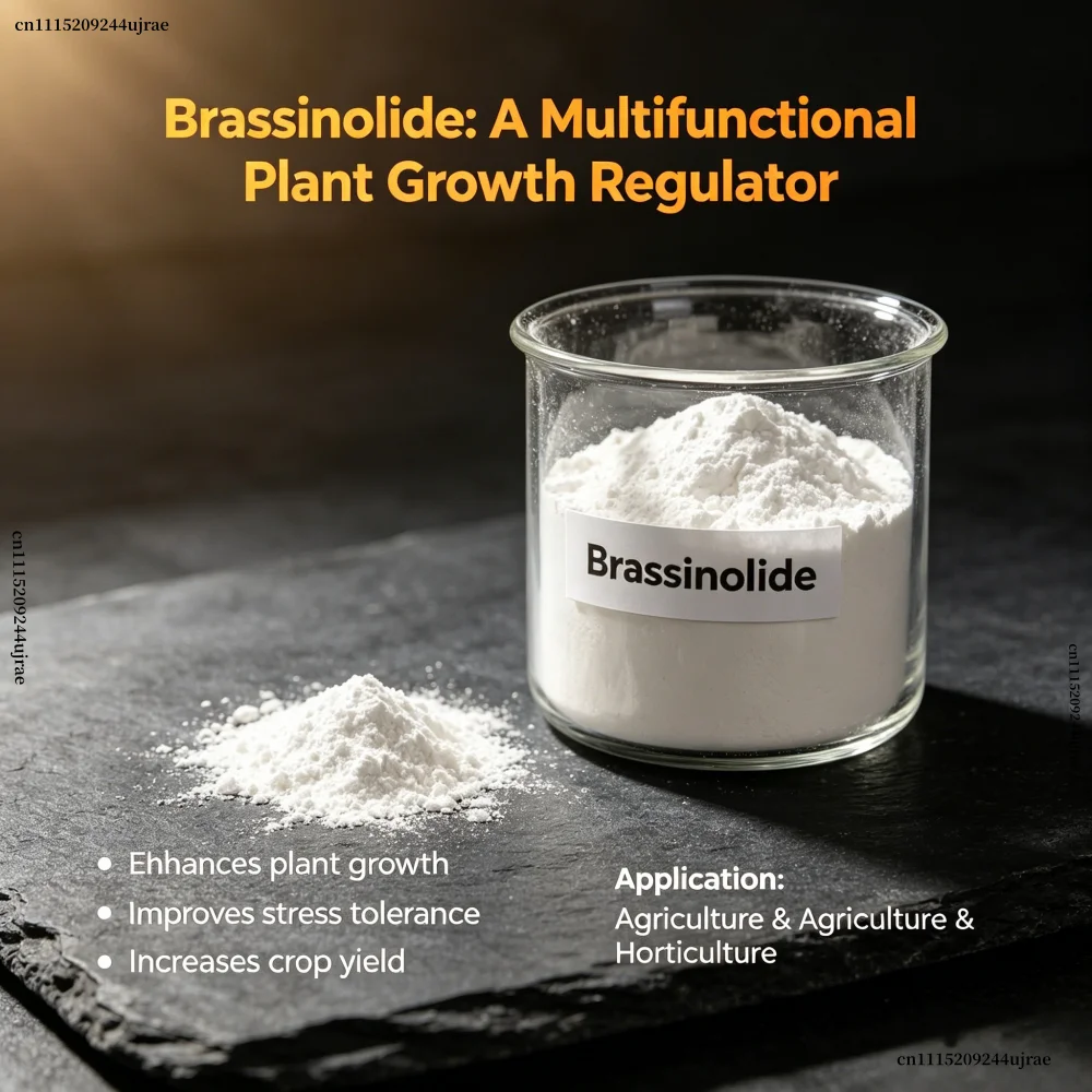 Brassinolide Plant Growth Regulator Foliar Organic Fertilizer