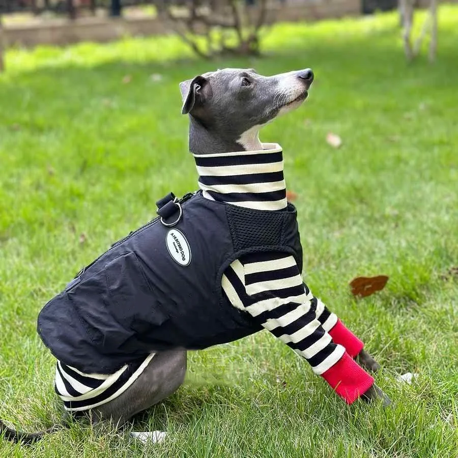 Whippet Rose Red Tactical Vest Worn with Pockets Waterproof Towable Black Jacket for Italy Greyhound Poodle Dog in Spring