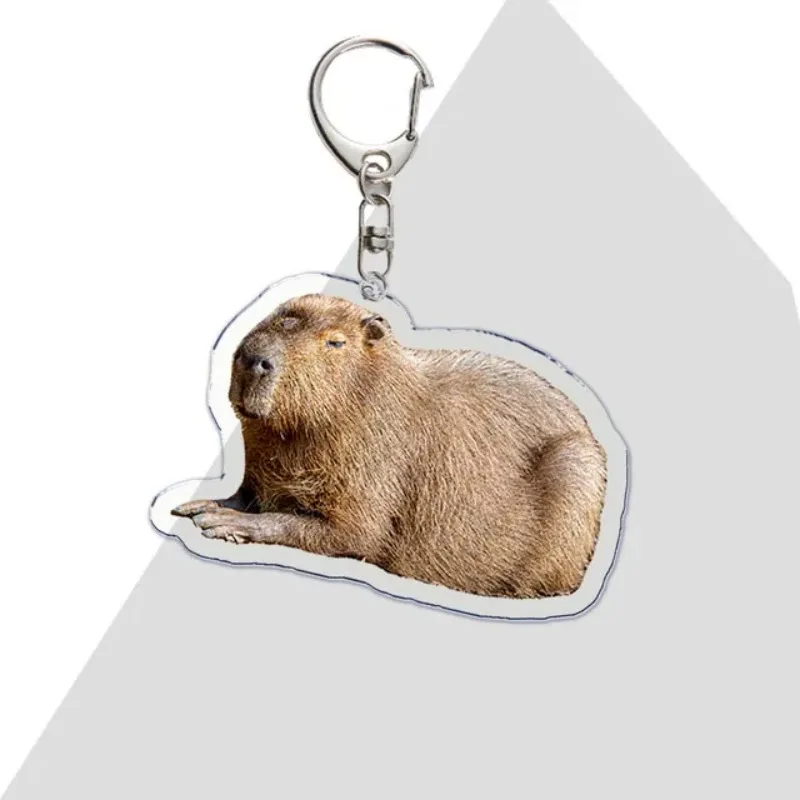 1Pc Adorkable Fun Capybara Acrylic Meme Keychain Deco Creative Cute Animal Boys Girls Backpack Zipper Mobile Phone Case Pendant