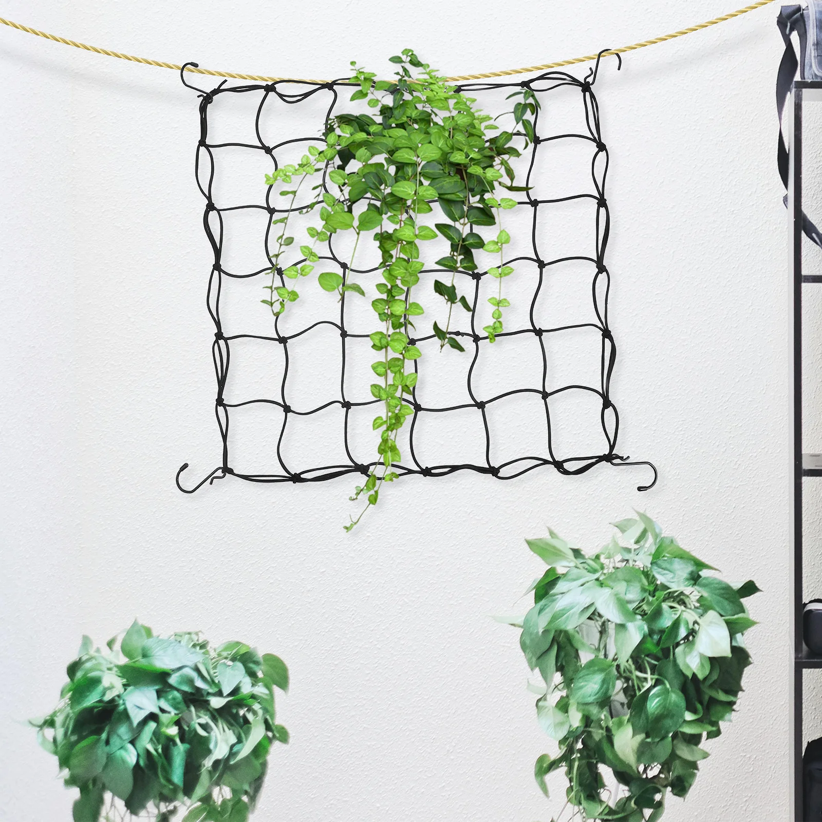 

Plant Support Net Black Elastic Mesh For Grow Tents Garden Trellis Netting Hooks Air Circulation Sunlight Protection Reusable