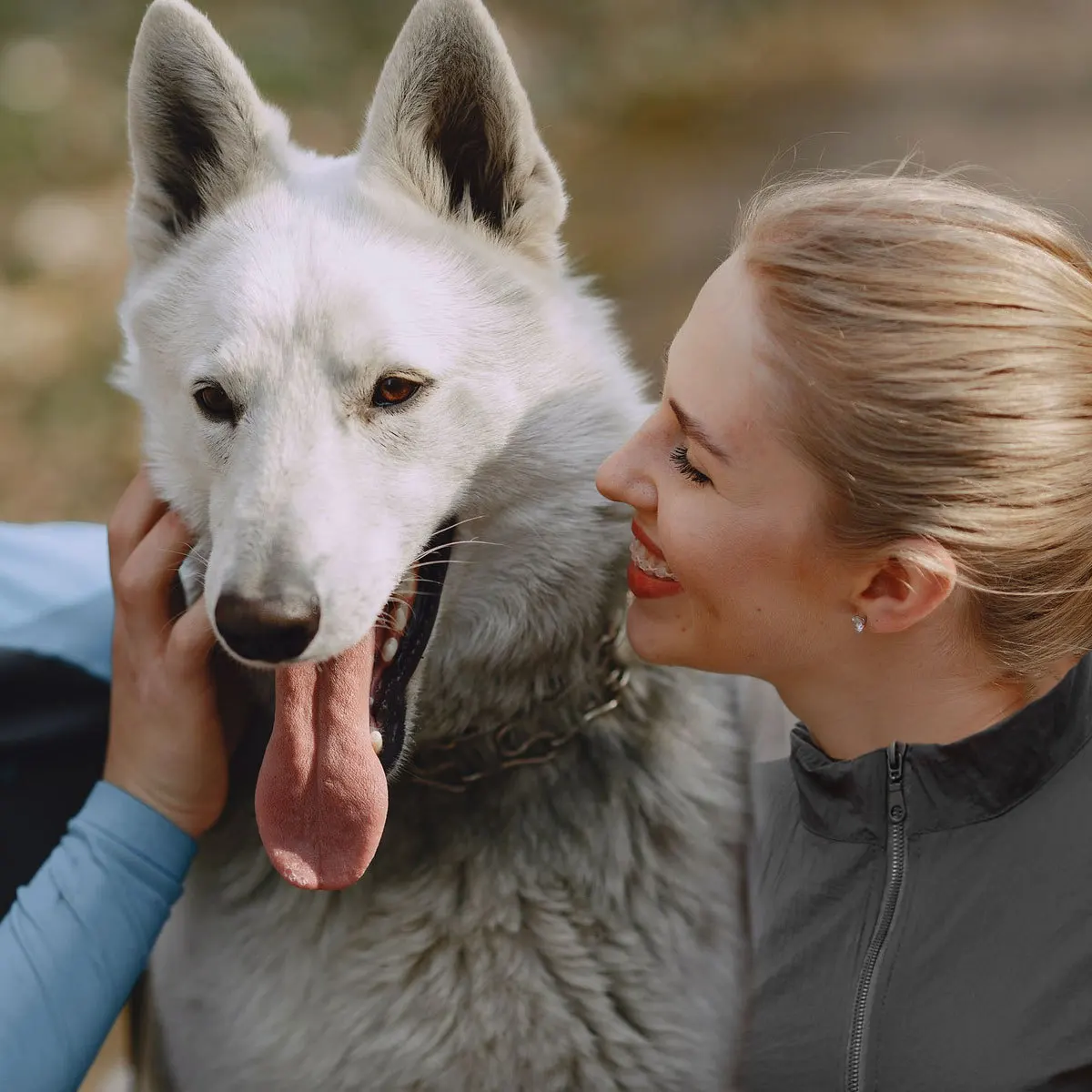 زي موحد لمستحضرات التجميل للحيوانات الأليفة مقاوم للماء من Chinlon مريلة للعناية بالكلاب والقطط وقطع شعر الأظافر وصالونات متجر الحيوانات الأليفة