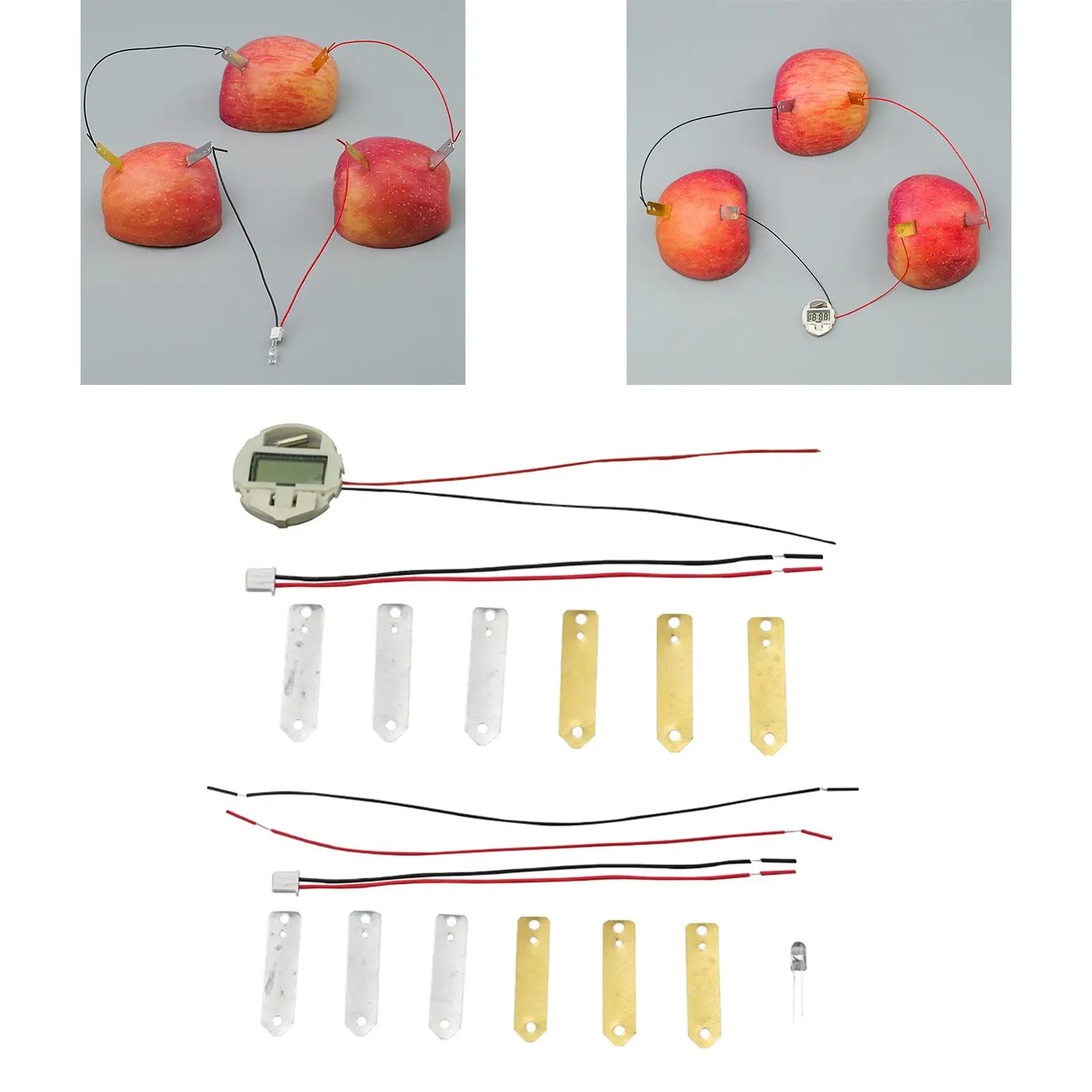 Bio Energy Science Kits Supplies DIY Fruit Battery for Kids Preschool Girls