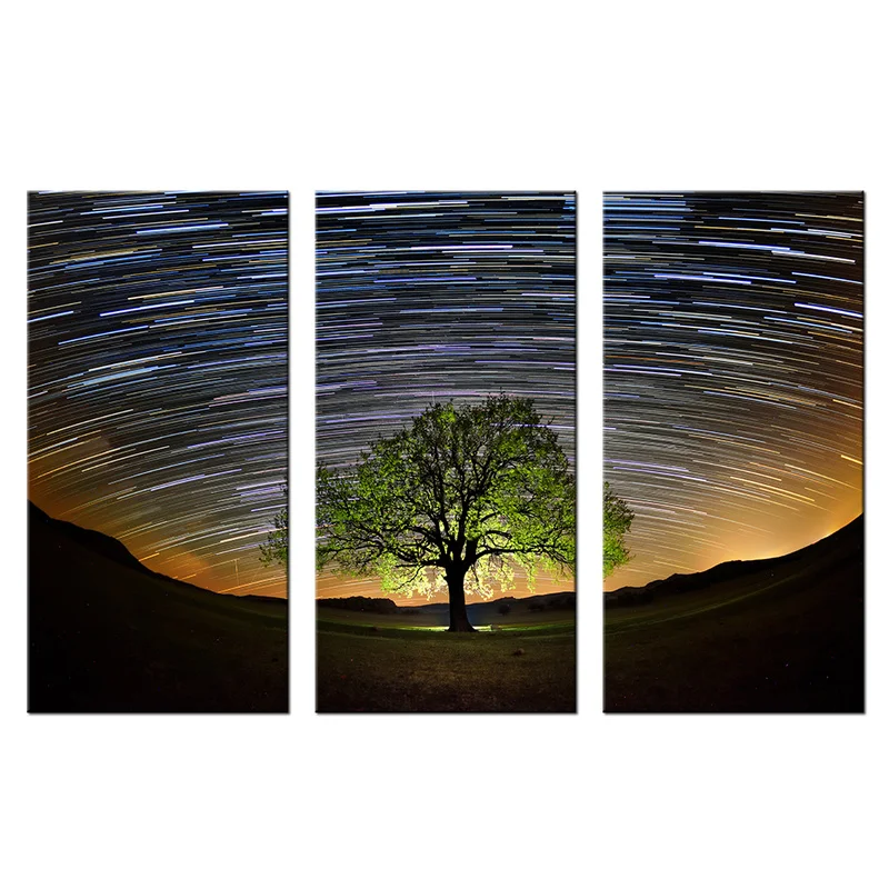 

3 Pieces Beautiful Starry Sky Wall Art Posters Lonely Tree Print Canvas Painting Modern Style Pictures Living Room Home Decor