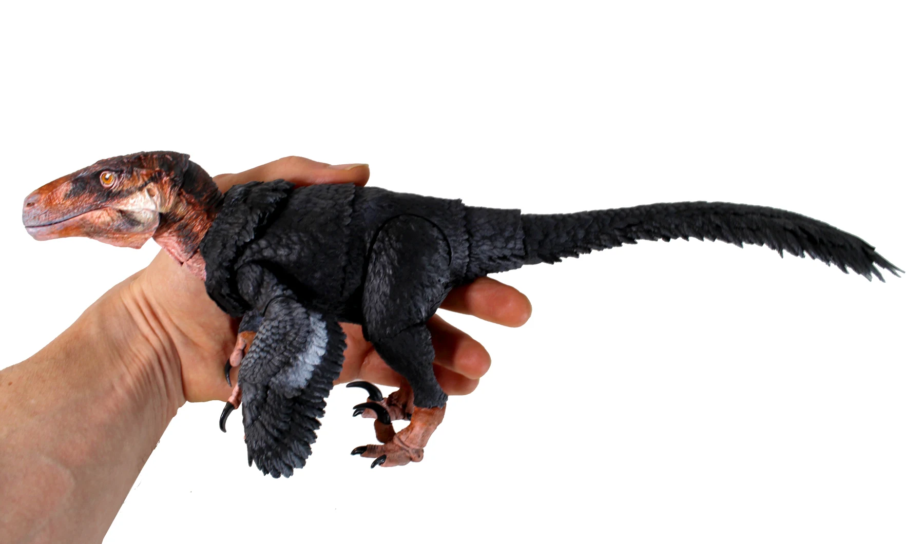 In Stock USA Beasts Of The Mesozoic Achillobator Movable Dinosaur Model Dromaeosauridae Achillobator Giganticus