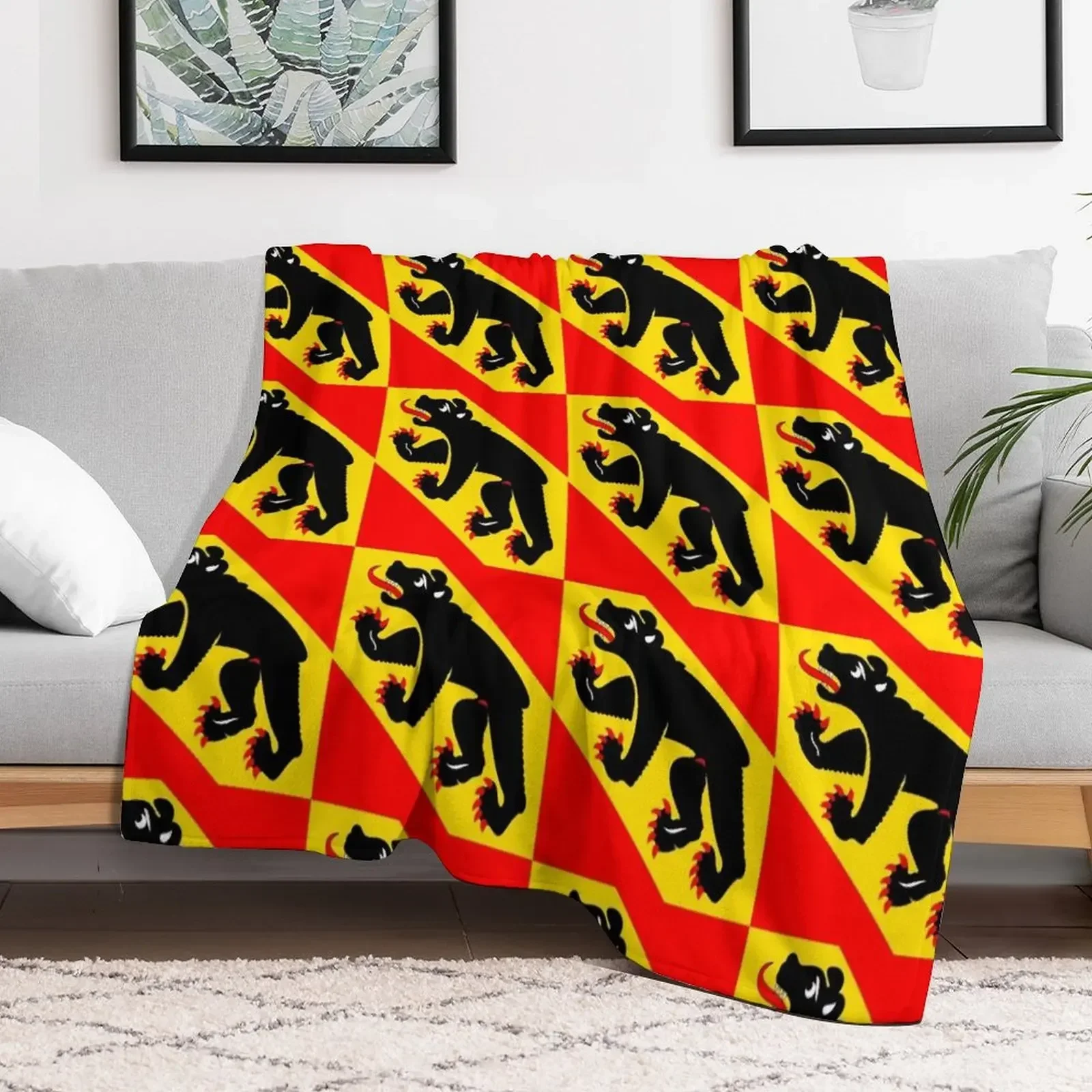 

Flag of Bern Canton Throw Blanket bed plaid Thin Blankets