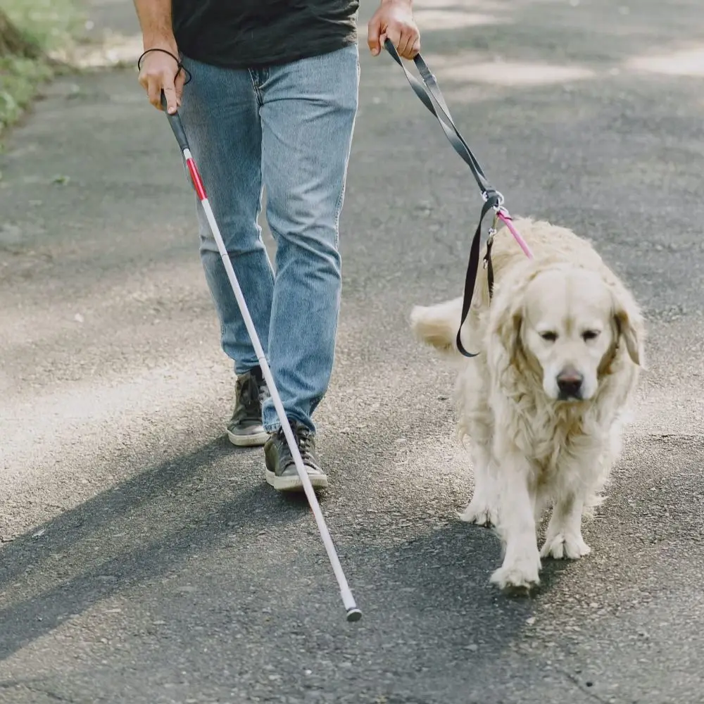 Aluminum Alloy Blind Walking Stick Reflective Anti-slip Grip Hiking Trekking Pole Durable Portable Folding Cane Outdoor - view 2