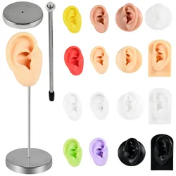 1PC Stainless Steel Show Display For Standing Showcase Silica Gel Personal Body Part Ear StorageRack