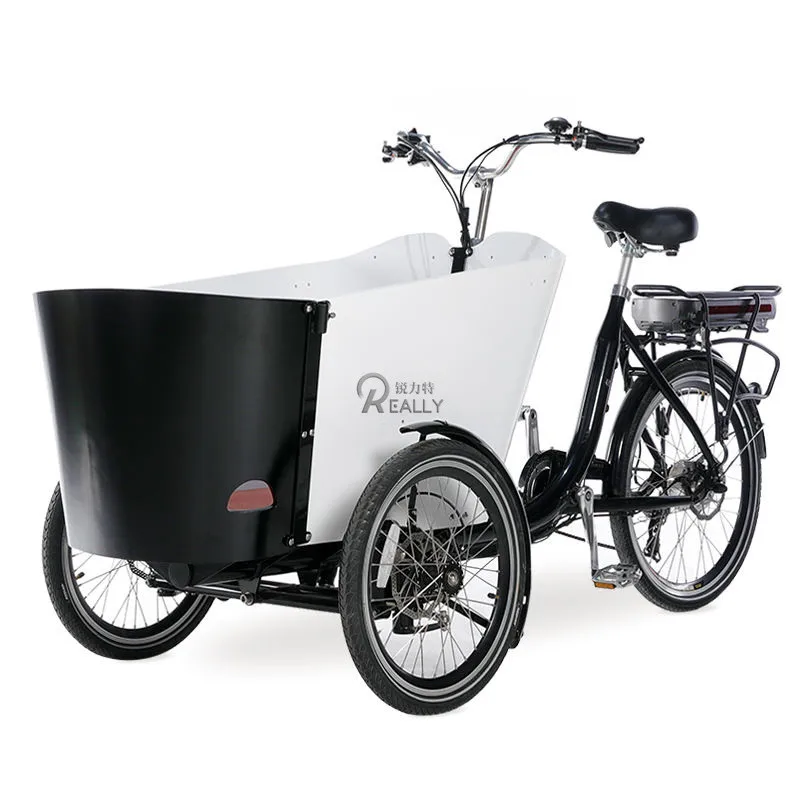 250W Customized 500w 6 speed Electric Cargo Tricycle With Front Disc Brake Dutch Bike Bicycle Cargo Bike Europe bakfiets For Sal