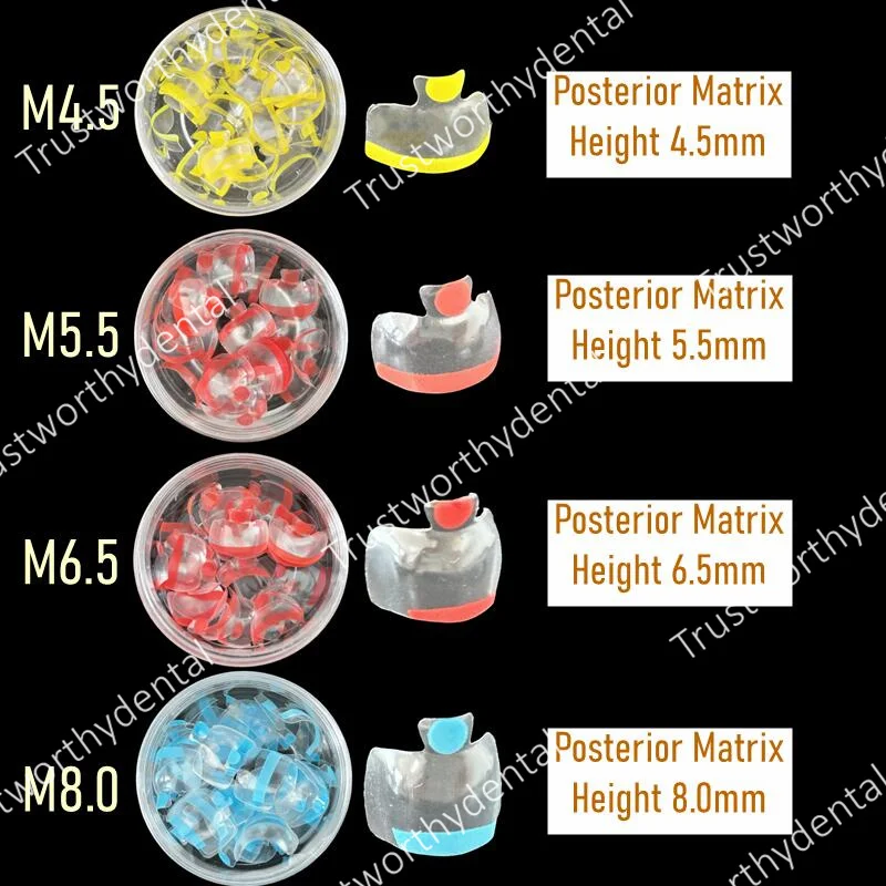 5Pcs Dental Clear Matrix Anterior PosteriorFit Bioclear BT Transparent Matrices Teeth Molar Bow Class Restoration Black Triangle