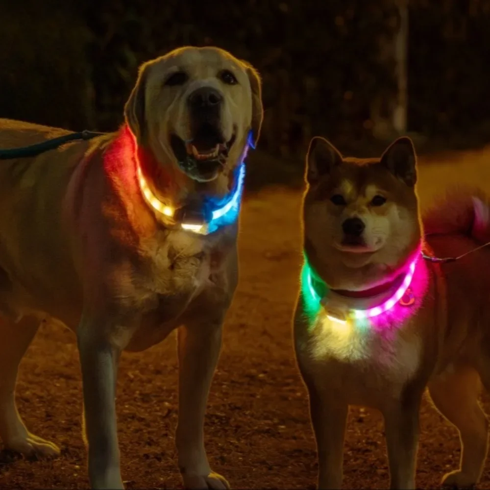 Silicone Led Luminous Dogs Collars USB Charging Walking the Night Dog Adjustable Pet Luminous Collar Dog Accessories Supplies