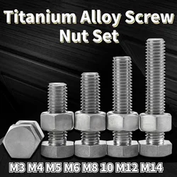2-10 Sets TA2 Pure Titanium External Hexagon Bolts Titanium Alloy Screw Nut Set M3 M4 M5 M6 M8 M10 M12 M14