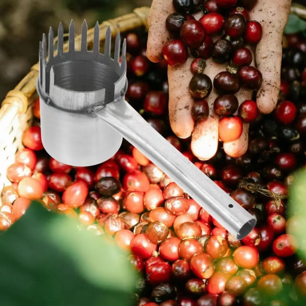 1pc Garden Fruit Picker Tool, Easy-To-Use Fruit Harvesting Device for Farmers & Gardeners, Efficient Fruit Picking Equipment