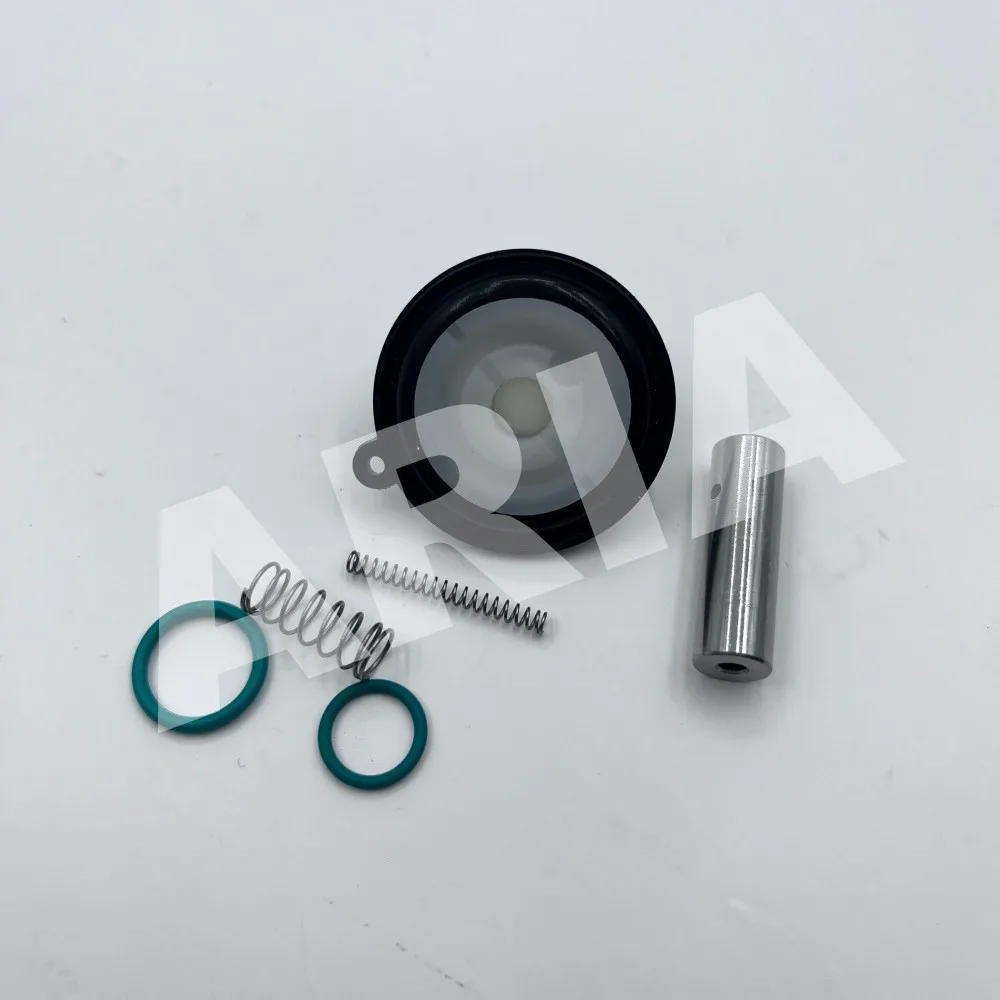 BUSCHJOST solenoid valve diaphragm repair kit Norgren 1256274 8240000 8240100 8240200  DN15
