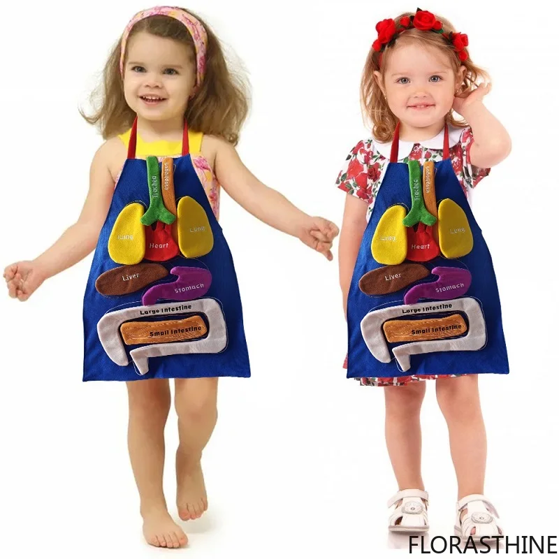 3D Organ Apron, Human Body Organs Apron Awareness Educational Tool Toy for Anatomy Kids, Costume Plush Stuffed Viscera Aid