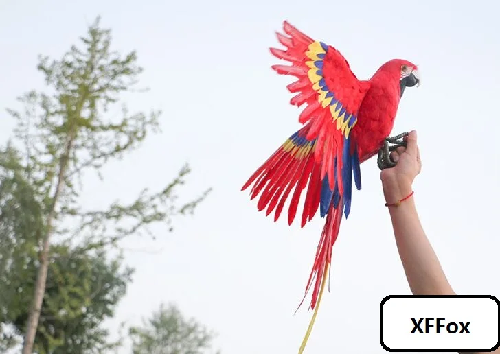 creative real life wings parrot model foam&feather red parrot model gift about 45x60cm d0172