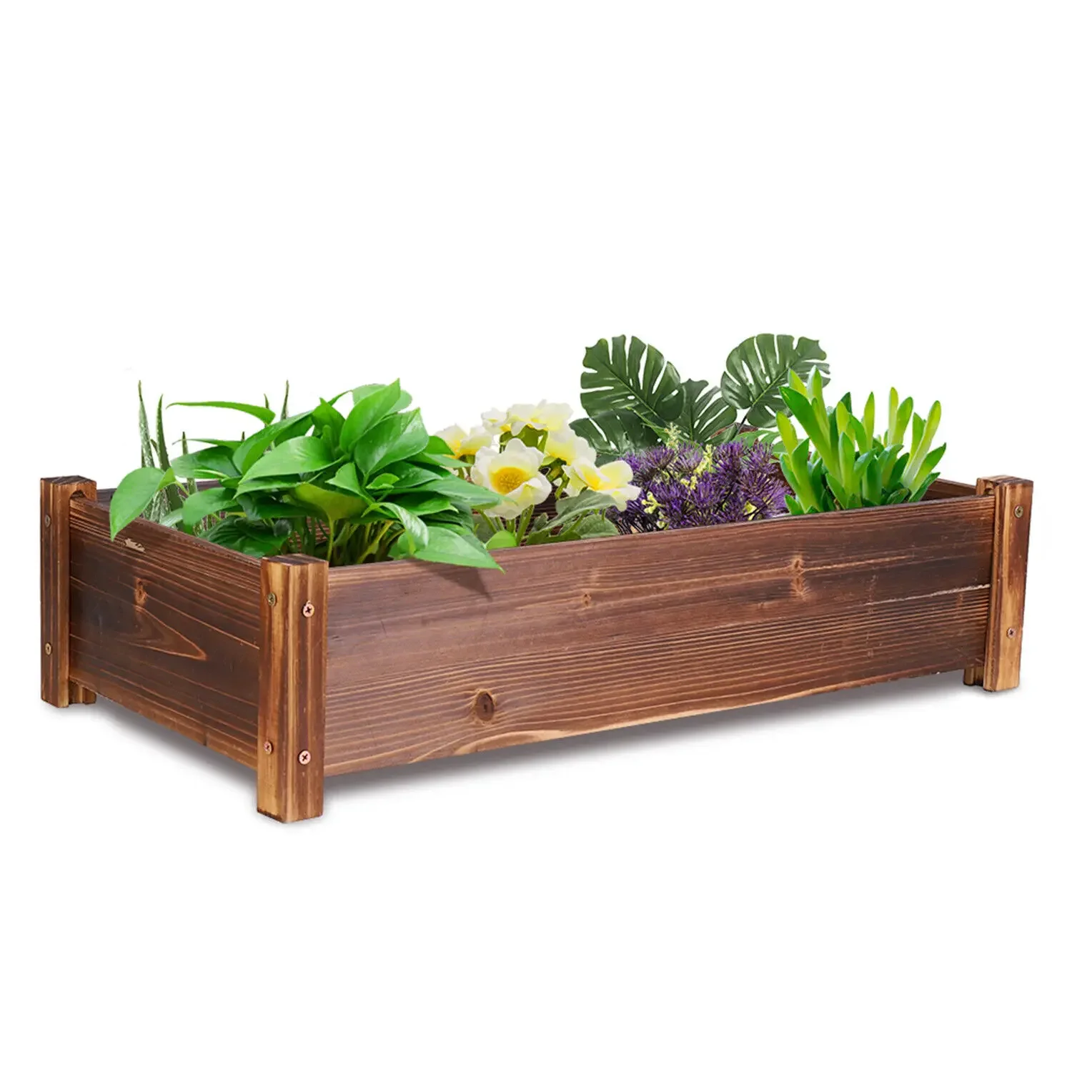 

Solid Pinewood Raised Garden Bed Horticulture Elevated Planter Box Outdoor Indoo