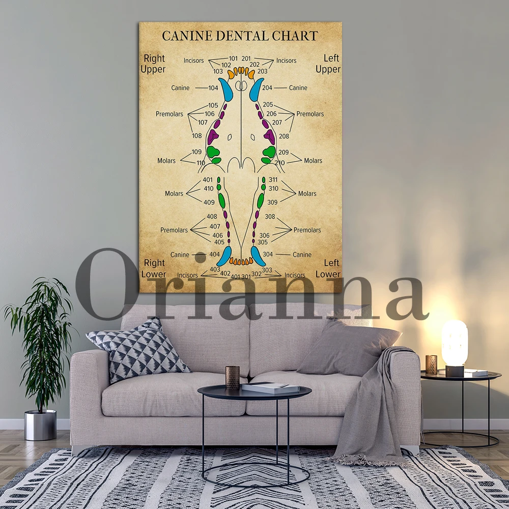 Canine Dental Chart Poster Or Canvas, Canine Teeth Chart Wall Art, Veterinary Medical Wall Decor Dog Teeth Art Print, Retro Gift