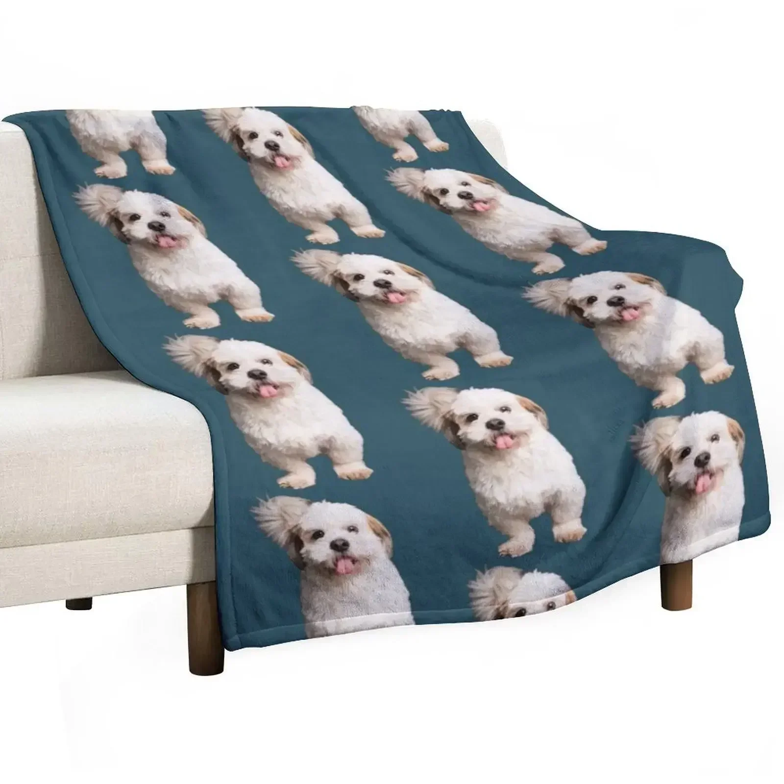 Shichon mignon, la vie est meilleure avec un Shichon, amoureux des chiens, la vie est meilleure avec Throw Blanket Soft Blankets