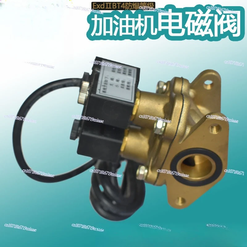 LPG Encapsulated Double-Flow Solenoid Valve for Fuel Dispenser, 6/8 Inch Flanged Explosion-Proof Electromagnetic Valve
