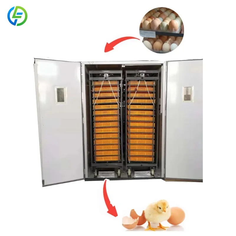Customized Multi-function 10000 Chicken Egg Hatching Automatic Incubator All in One