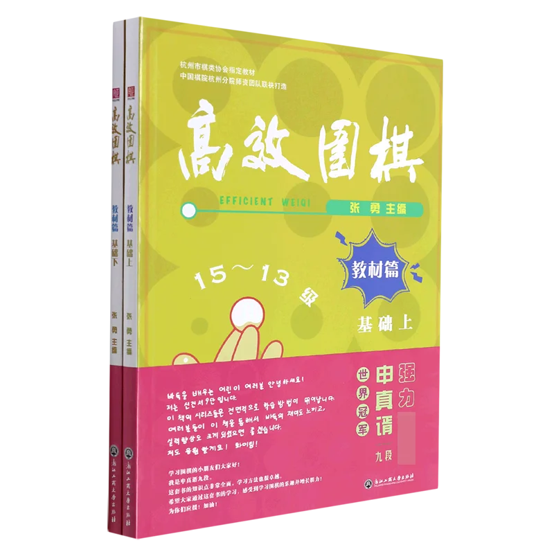 Efficient Go: Strategic Methods for Improving Your Game Through Focused Practice and Pattern Recognition