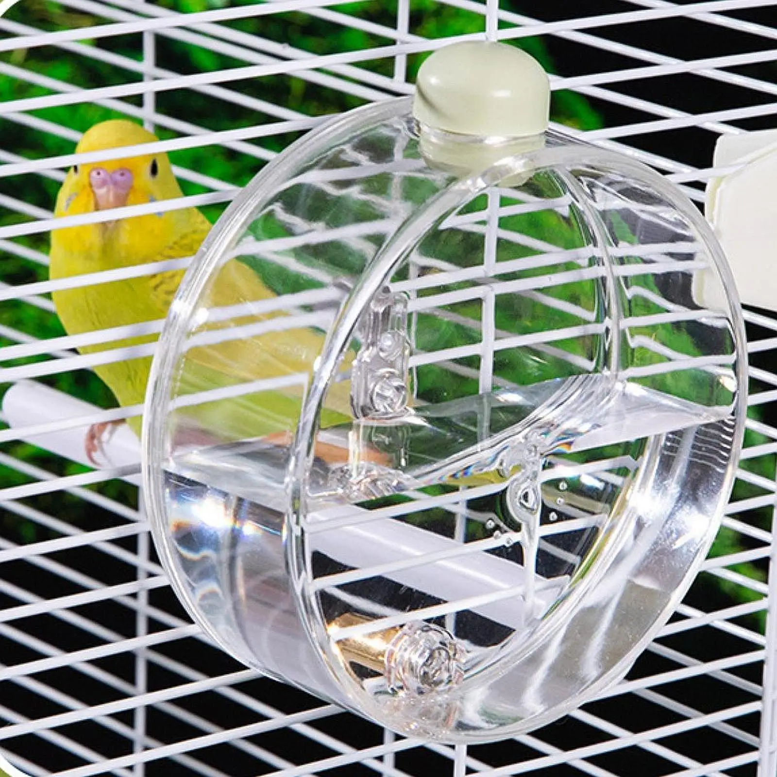 Parrot Bird Water Feeder,Automatic,for Cage,Bird Water ,Bird Water Dispenser Bird Waterer for Cockatiel Parakeet Dove