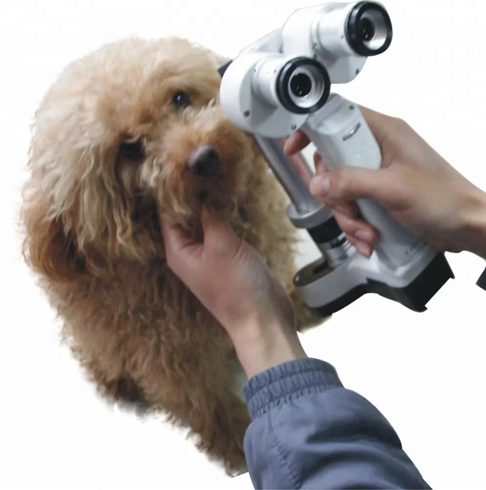 

Veterinary tools and equipments ML-V2 Handheld Slit lamp microscope veterinary device LED Portable slit lamp with certifications