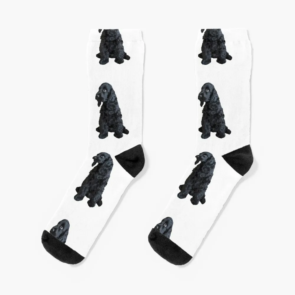 

English Cocker Spaniel Cute Black Puppy Dog Socks Male sock anime socks