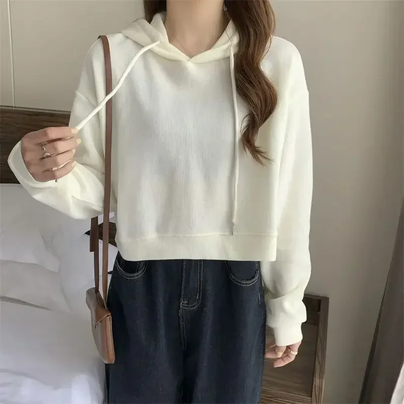 جديد الربيع والخريف المرأة طويلة الأكمام الصوف هوديس بلايز السيدات عادية أسود رمادي بيج Y2k بلوزات Harajuku ومانيتو مان