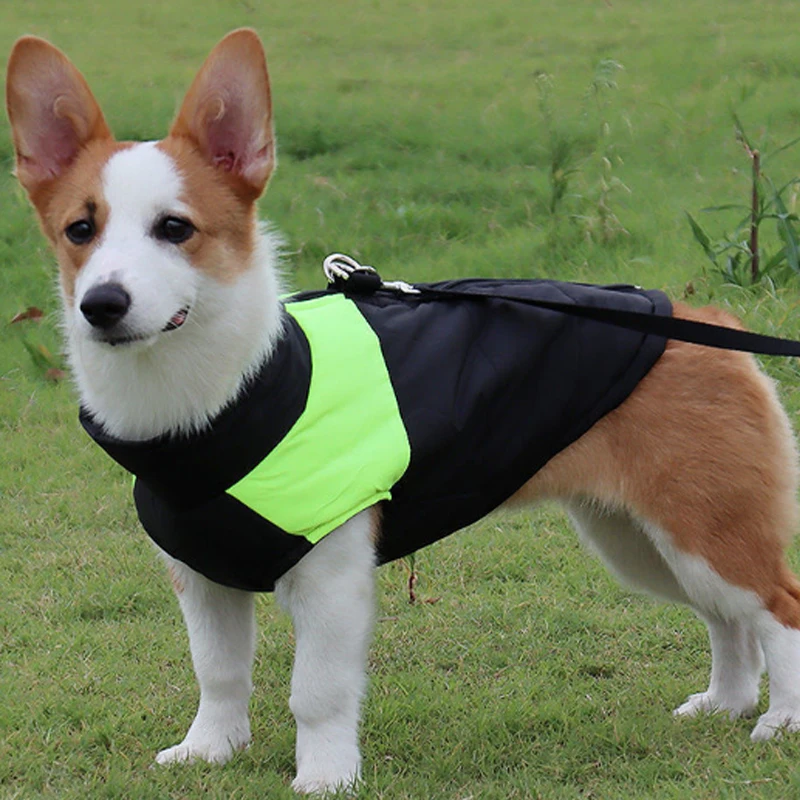 Abrigo de invierno de alta calidad para perros, chaqueta con cremallera, ropa cálida para perros pequeños y grandes