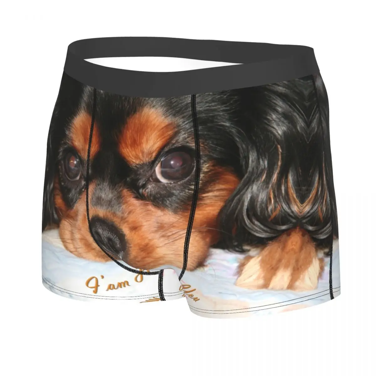 Custom The Cavalier King Charles Spaniel Puppy Underwear Men Print Animal Dog Boxer Briefs Shorts Panties Soft Underpants