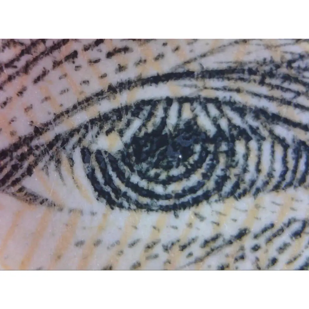 Câmera de microscópio digital USB Zoom 200x Resolução 1600x1200 Sensor CMOS avançado 8 LED Windows 10 e Mac compatível durável