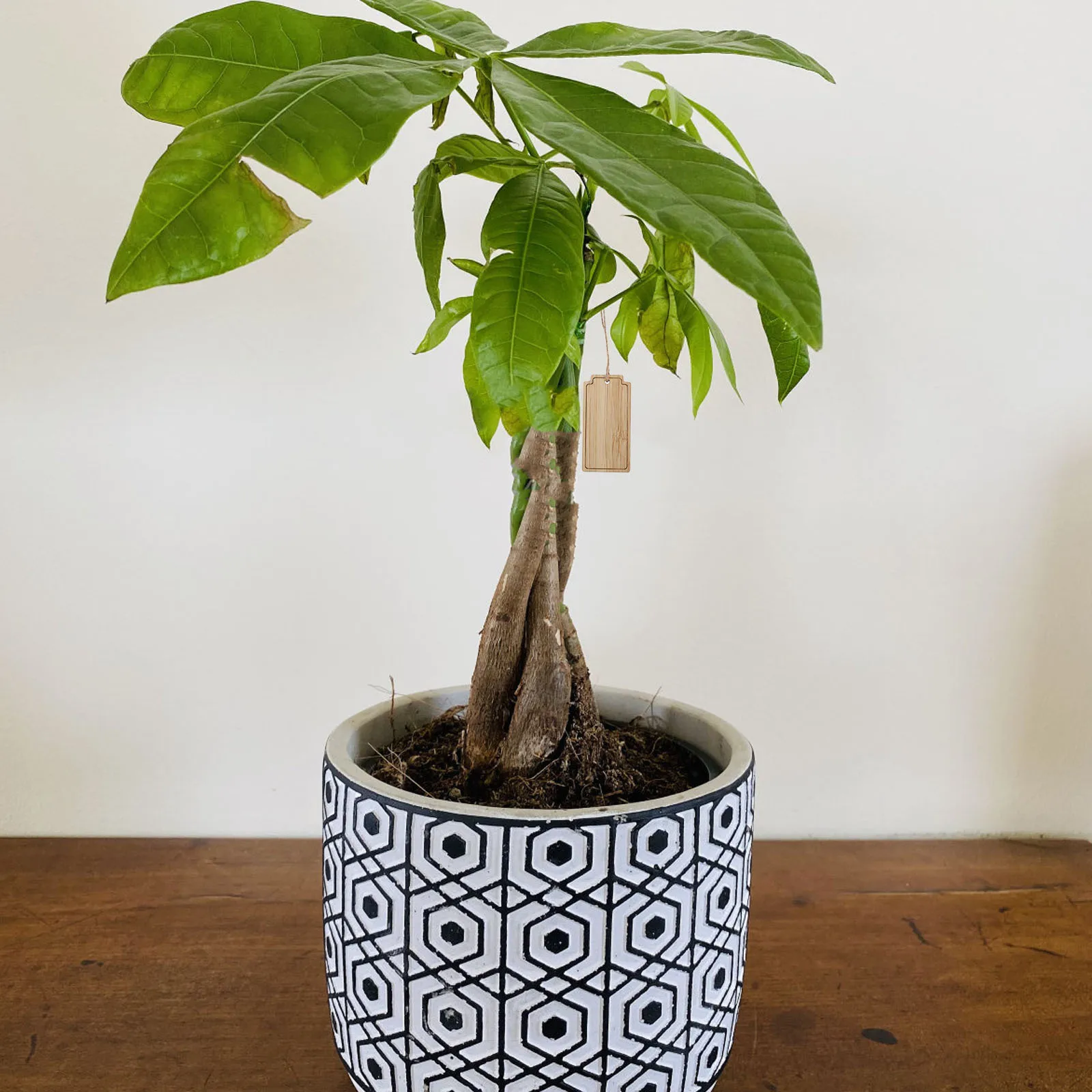 

10Pcs Bamboo Garden Tags Reusable Plant Markers Versatile Use Outdoor Labels for Pots Trees Vegetables Flowers