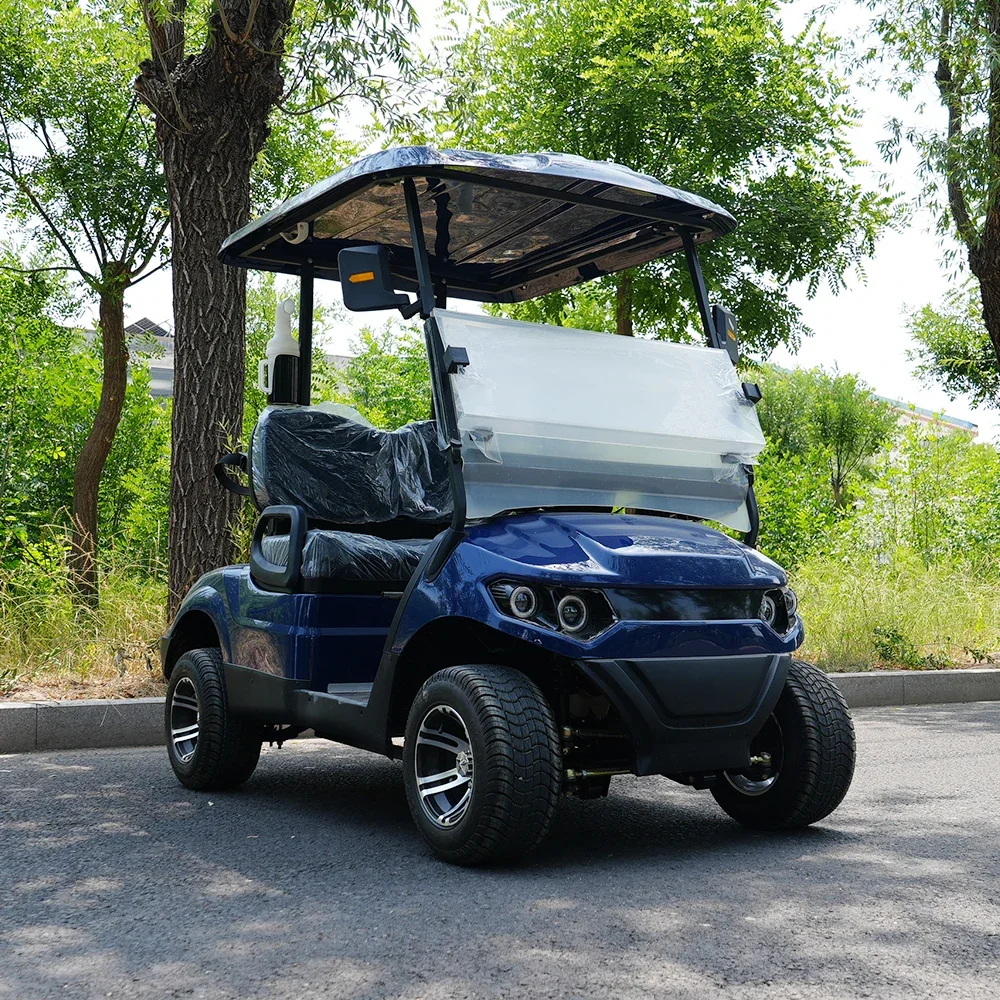 Electric Golf Buggy With Tail Caddie Equipped With Standing Position Golf Electric Cart