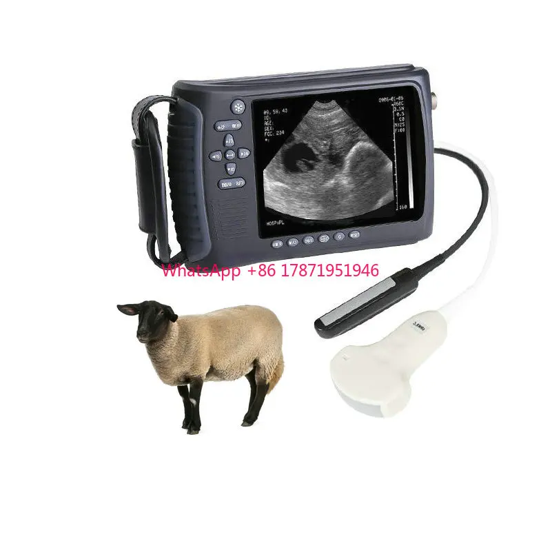 Cheap handheld pet vet portable equine cow sheep large animals used veterinary equipment ultrasound