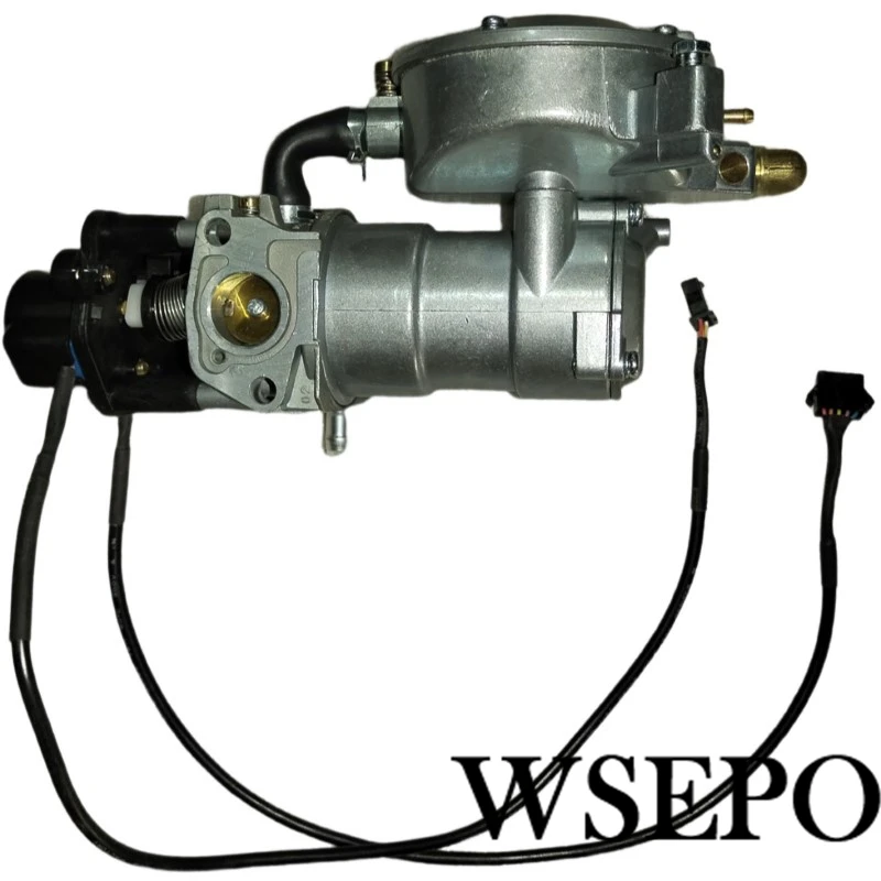 Gasoline LPG LNG Propane Multi-Fuel Carburetor Auto With Two Step Motor Used On WSE3000 WSE5000 Or Similar 3KW 5KW DC Generator