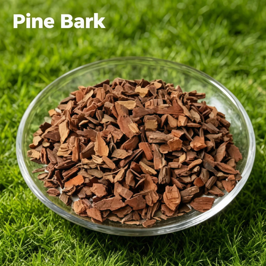 500g Fermented Organic Pine Bark Nuggets, Natural Soil Amendment for Garden, Orchid, Succulent, Bonsai & Blueberry Cultivation