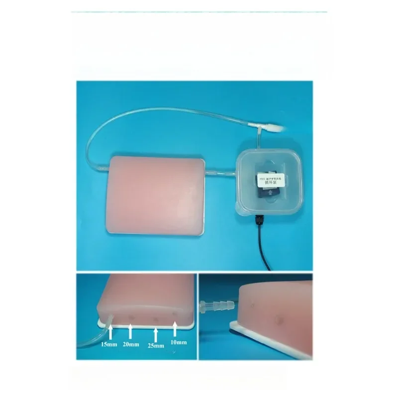 

training puncture module Ultrasound guided vascular puncture model circulation pump B-ultrasound intervention training