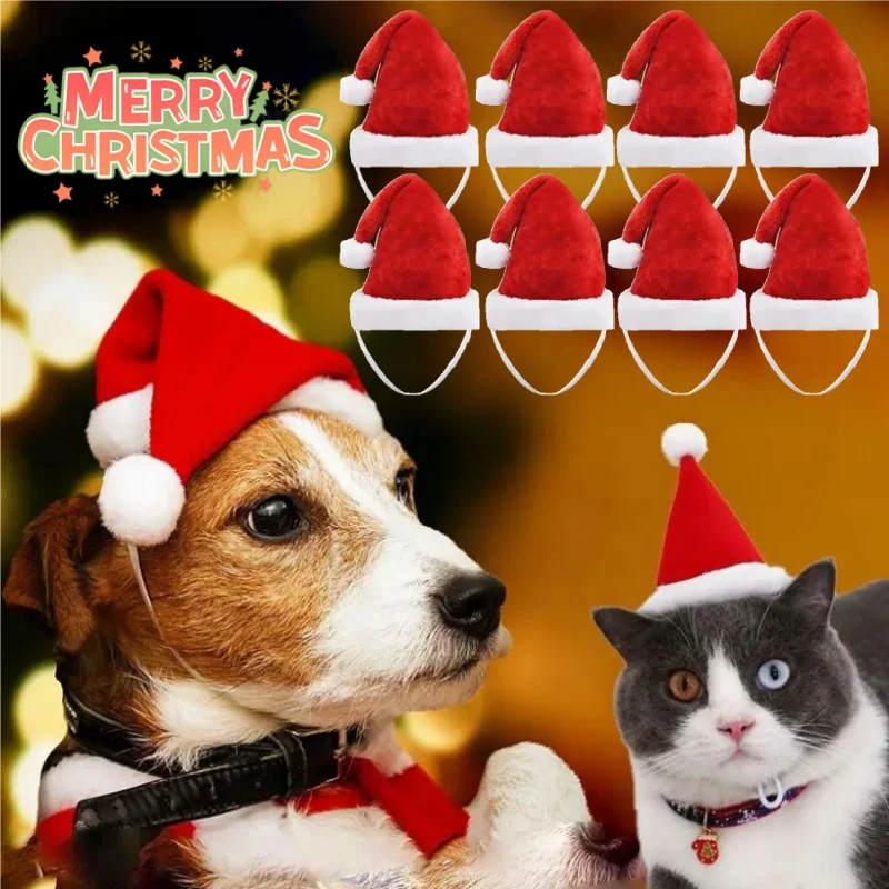 yZ[zNX}XybgT^Xq Ԃʂ \tgzf[Lbv Lp tFXeBup[eB[RX`[ANZT[ 킢ʐ^BefR[V