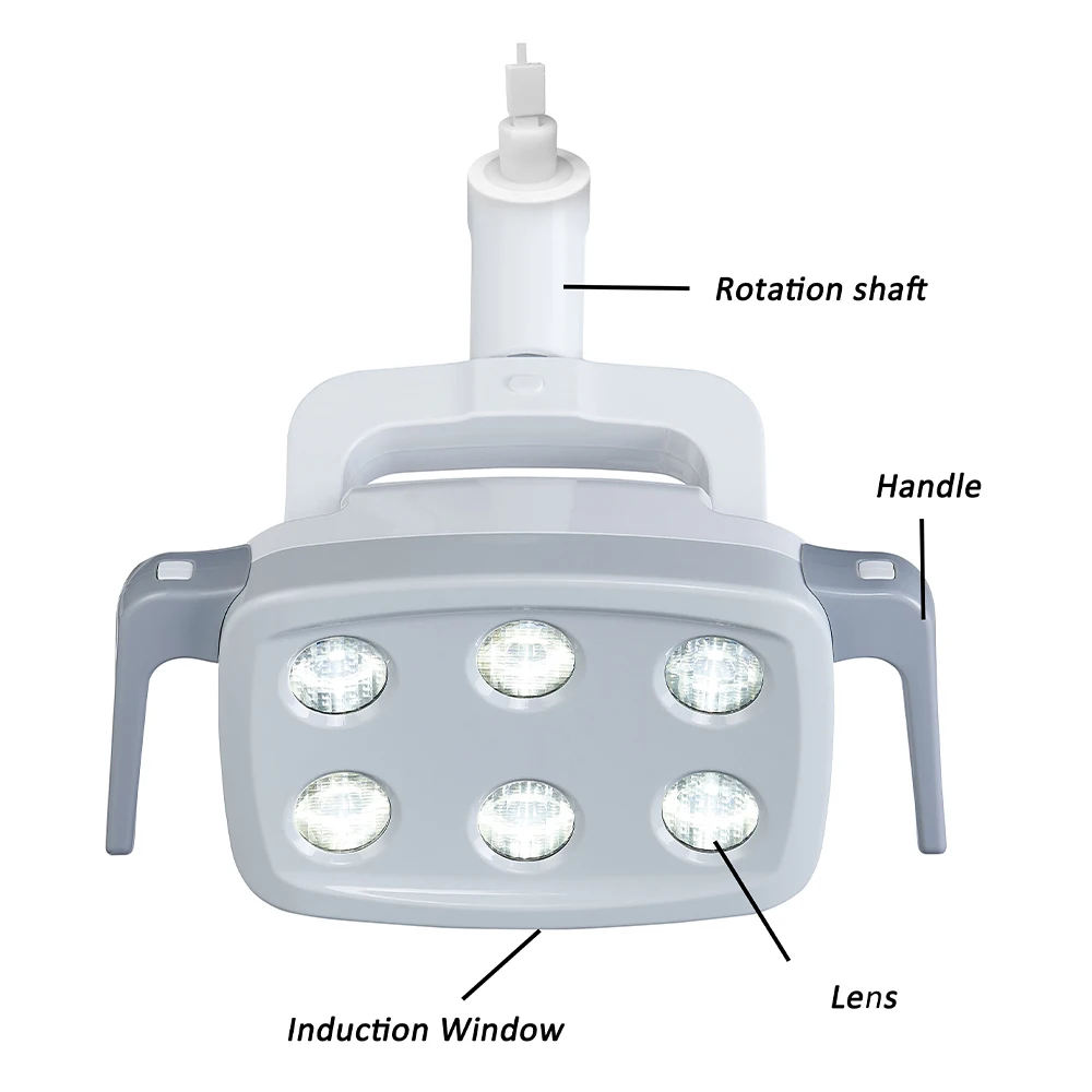 Thumbnail 4 - #25 Best Oral Lamps to Buy In 2026