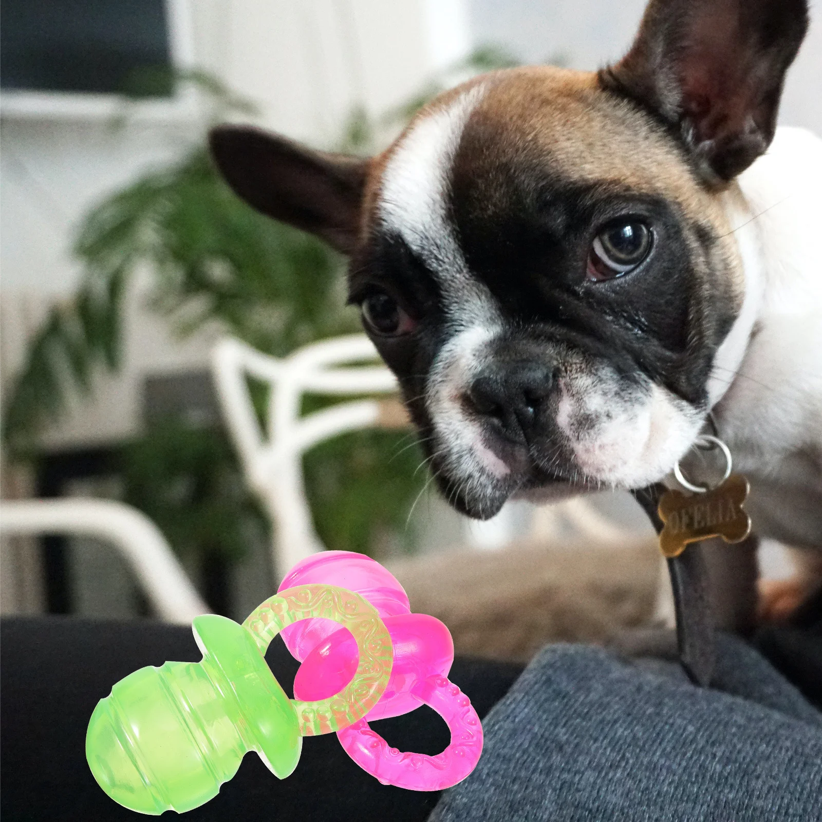 

2Pcs Dog Teething Tool Tpr Material Flexible Bite Resistant Safe Play Pacifier Design Stress Reduction Destructive Behavior