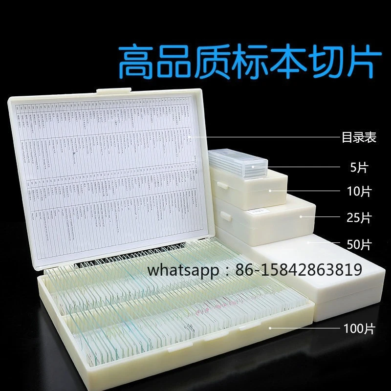 

Microscope Biological Specimen Section Glass Slide Set Animal Plant Cells