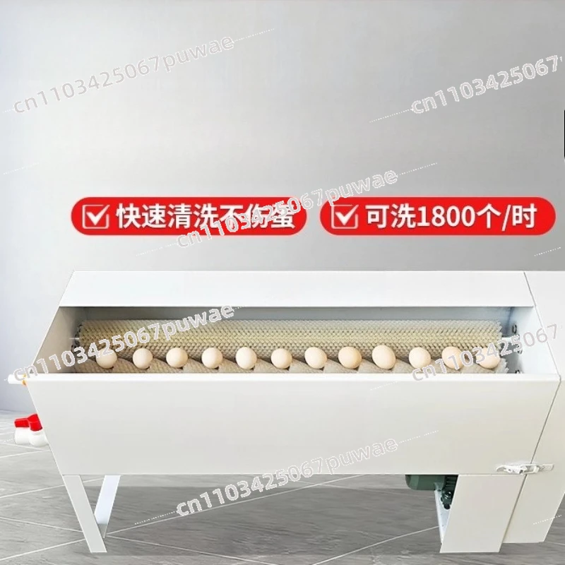 Egg Washing Machine New Automatic Washing Machine Mud Mahjong Salted Duck Egg Stainless Steel Egg Washing Machine