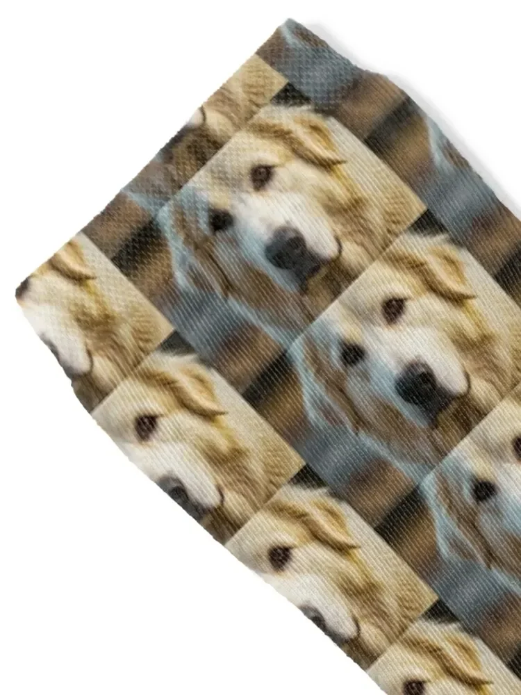 Great Pyrenees Portrait Socks colored Christmas cotton Toe sports Socks Ladies Men's
