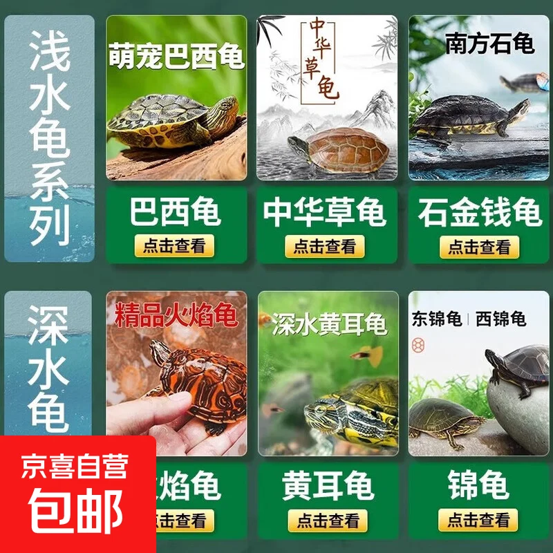 محاكاة LS7 V8 محرك المحرك المبرد مروحة التبريد بالوعة الحرارة ل 1/10 RC الزاحف سيارة محوري SCX10 II III TRXS TRX4 D90 Redcat #1