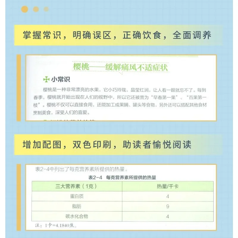 Gicht-Diätbuch, das ist genug, Gicht-Diät-Rezept, Gicht-Diät-Konditionierungsrezeptbuch