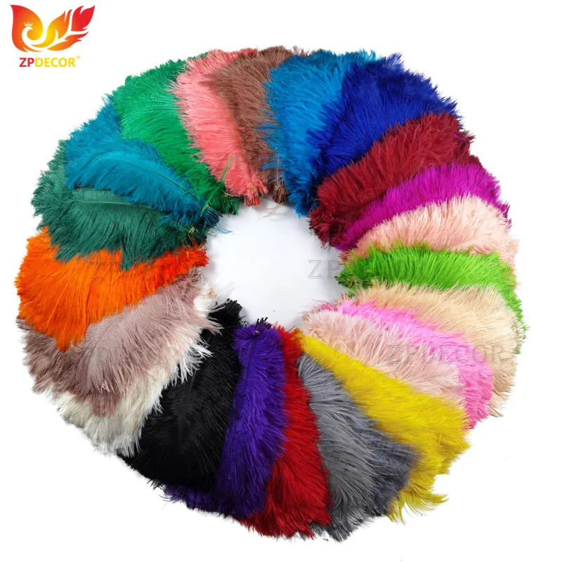 ZPDECOR Standard Ostrich Feathers 10-12 Inch/25-30 CM for DIY