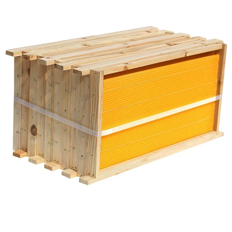 Full set of bee frame hive standard bee box beekeeping tools