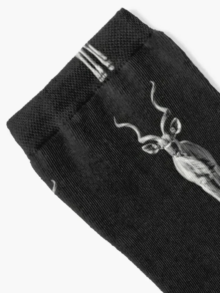 Greater Kudu Antelope Full Figure Socks anime summer Lots Men's Socks Women's